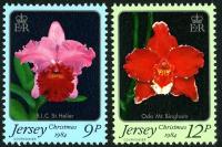 1984 Christmas Jersey Orchids