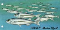 1998 Ocean Fishes pack