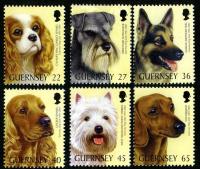 2001 Guernsey Dog Club