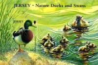 2004 Ducks & Swans MS