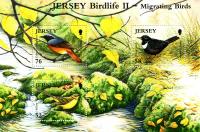 2008 Jersey Birdlife 3 values MS