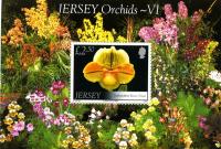 2008 Jersey Orchids 6th Series MS