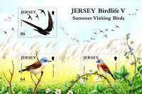 2011 Summer Visiting Birds MS