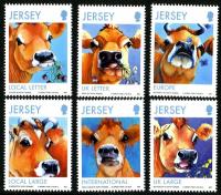 2013 Jersey Cows Paintings by Kathy Rondel