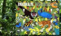 SG3172a  WWF  Amazon life