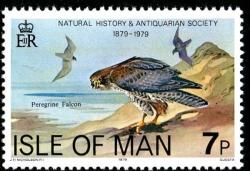 1979 Natural History 7p