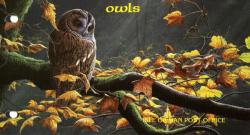 1997 Owls pack