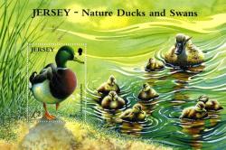 2004 Ducks & Swans MS