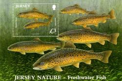 2010 Freshwater Fish MS