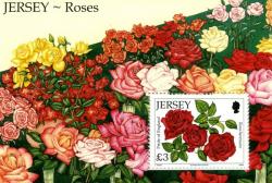 2010 Roses MS