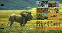 2013 Big Cats by Jeremy Paul Pack