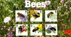 2015 Bees Pack containing Miniature Sheet