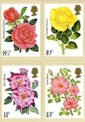 PHQ16  1976 Royal National Rose Society