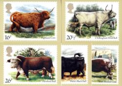 PHQ73 1984 British Cattle