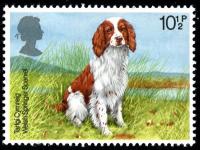 1979 Dogs 10½p