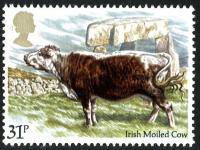 1984 Cattle 31p