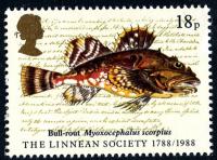 1988 Linnaean Society 18p