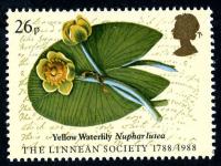 1988 Linnaean Society 26p