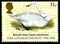 1988 Linnaean Society 31p