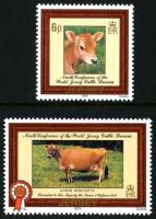 1979 Jersey Cattle