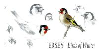 1992 Winter Birds pack