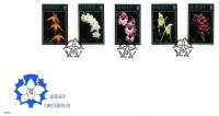 1993 Jersey Orchids