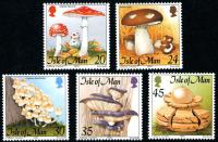 1995 Fungi