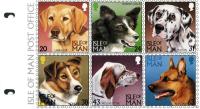 1996 Dogs pack