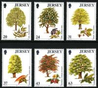 1997 Trees