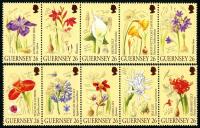2000 A Botanist's Sketchbook, Botany Drawings