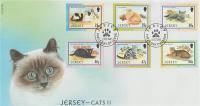 2002 Cat Club