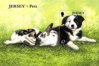 2003 Pets MS