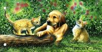 2003 Pets pack
