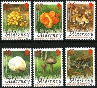 2004 Fungi
