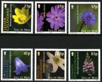 2004 Wild Flowers