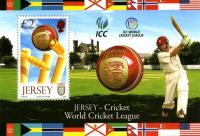 2008 Cricket MS