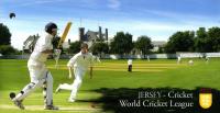2008 Cricket Miniature Sheet pack
