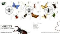 2008 Insects (Addressed)