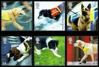 2008 Working Dogs