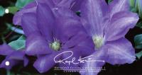 2009 Raymond Evison's Wild Flora (2nd series) Pack