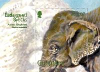 2010 Endangered Species (6th series), Asian Elephant MS