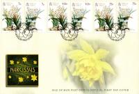 2011 Narcissus