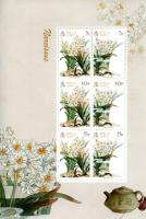2011 Narcissus MS