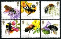 2015 Honey Bees