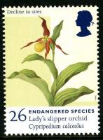 1998 Endangered Species 26p