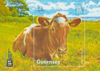 2016 Guernsey Stamp Show Golden Guernsey Cow MS