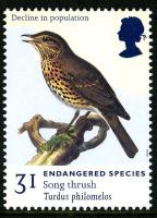 1998 Endangered Species 31p