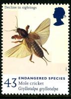 1998 Endangered Species 43p