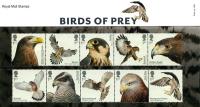 2019 Birds of Prey Pack
