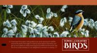 2019 Town & Country Birds Pack